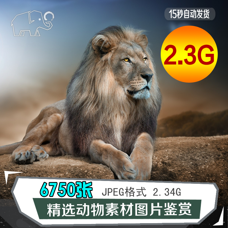 精选动物图片绘画素材PNG背景溶图电脑合成图片电商摄影设计鉴赏