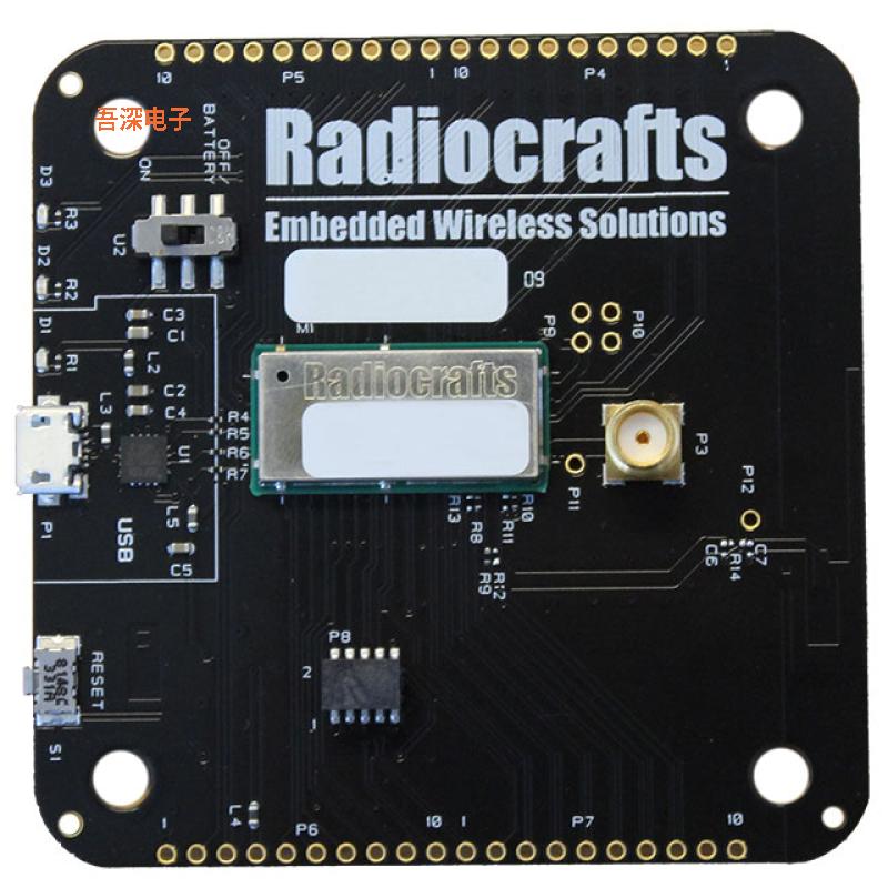 RC1880CEF-SPR-DB |原装全新RIIOT DEVELOPMENT BOARD
