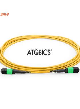 TCAB-12MTPFF-OS2-5M |原装全新FIBER OPTIC CBL TO MTP SGL 5M