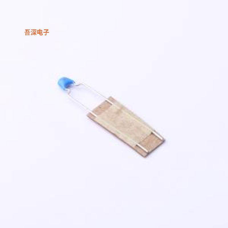 FG28C0G1H101JNT06 原装|正品插件,P=5mm