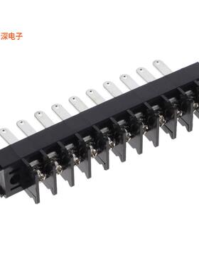 A00111007 |隔板接线座CONN TERM BLK MT END 10POLE