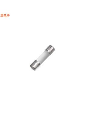 0650C2500-11 |需要支座CERAMIC TUBE FUSE, 5X20 MM SIZE,
