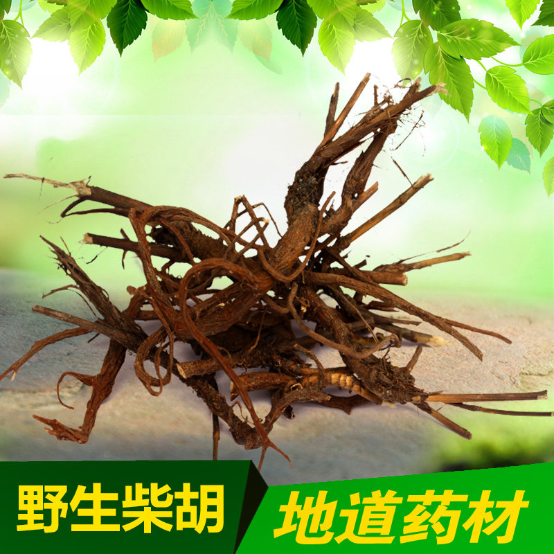 秦岭野生柴胡 北柴胡根 秦岭竹叶柴胡  正品无硫 中药材500克