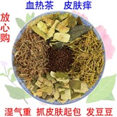 消湿血热茶去湿热祛湿气重凉血皮肤痒有抓痕豆豆清火荷叶冬瓜皮茶