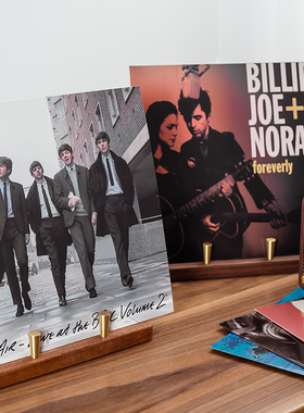 黑胶唱片架 黄铜实木 展示支架LP黑胶柜CD架垂直收纳整理桌面架子