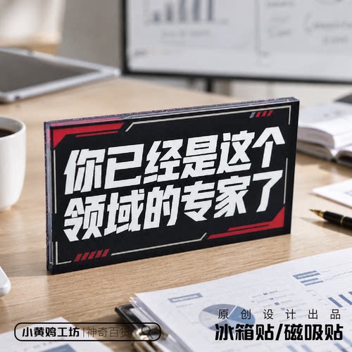 你已经是这个领域专家磁吸冰箱贴