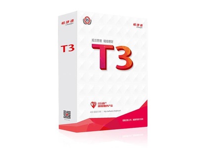用友T3标准版 专业版试用版包安装送视频教程