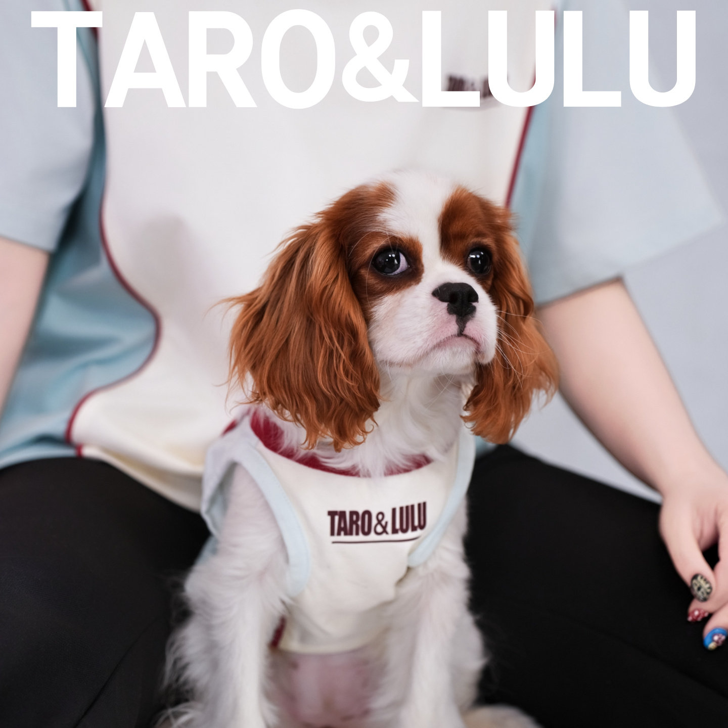 【Taro独立设计】狗狗衣服休闲防掉毛撞色凉感印花夏季宠物服装