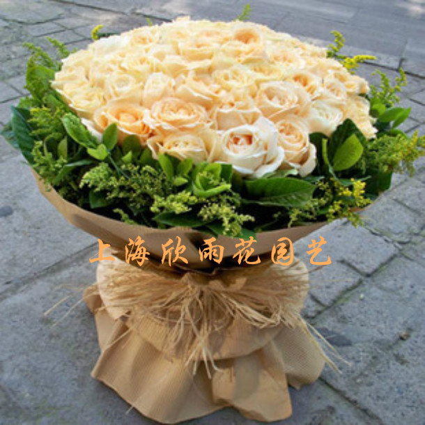 66朵香槟玫瑰求婚纪念日生日圣诞节祝福花束礼品上海花店鲜花配送