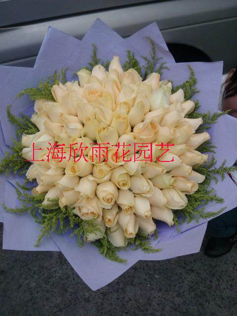 99朵香槟玫瑰 生日鲜花 祝福鲜花 圣诞节鲜花 求婚鲜花 上海速递