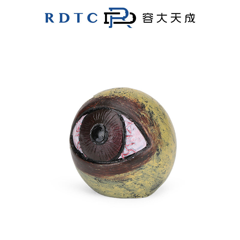 [RONGDA 원래 심리적 모래 세트] 안구 모델 시뮬레이션 수지 눈 구슬 표현 장식품 모래 테이블 장면