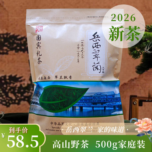 岳西翠兰2026高山野茶一级家用茶