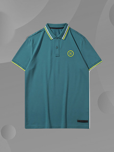 POLO衫 Lining 休闲宽松运动短袖 李宁正品 APLQ211 男子韦德系列时尚