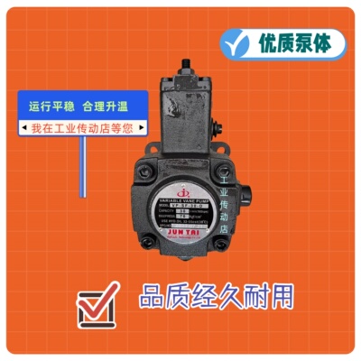 JUNLINGPAI电机  22KW 液压马达 JUN TAI油泵 VP-SF-40-D