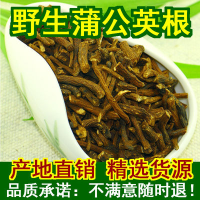 长白山天然野生特级蒲公英根茶