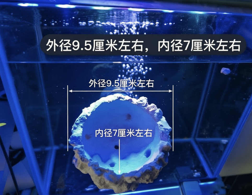 磁吸海葵窝 爪哇石手工强磁悬浮奶嘴窝