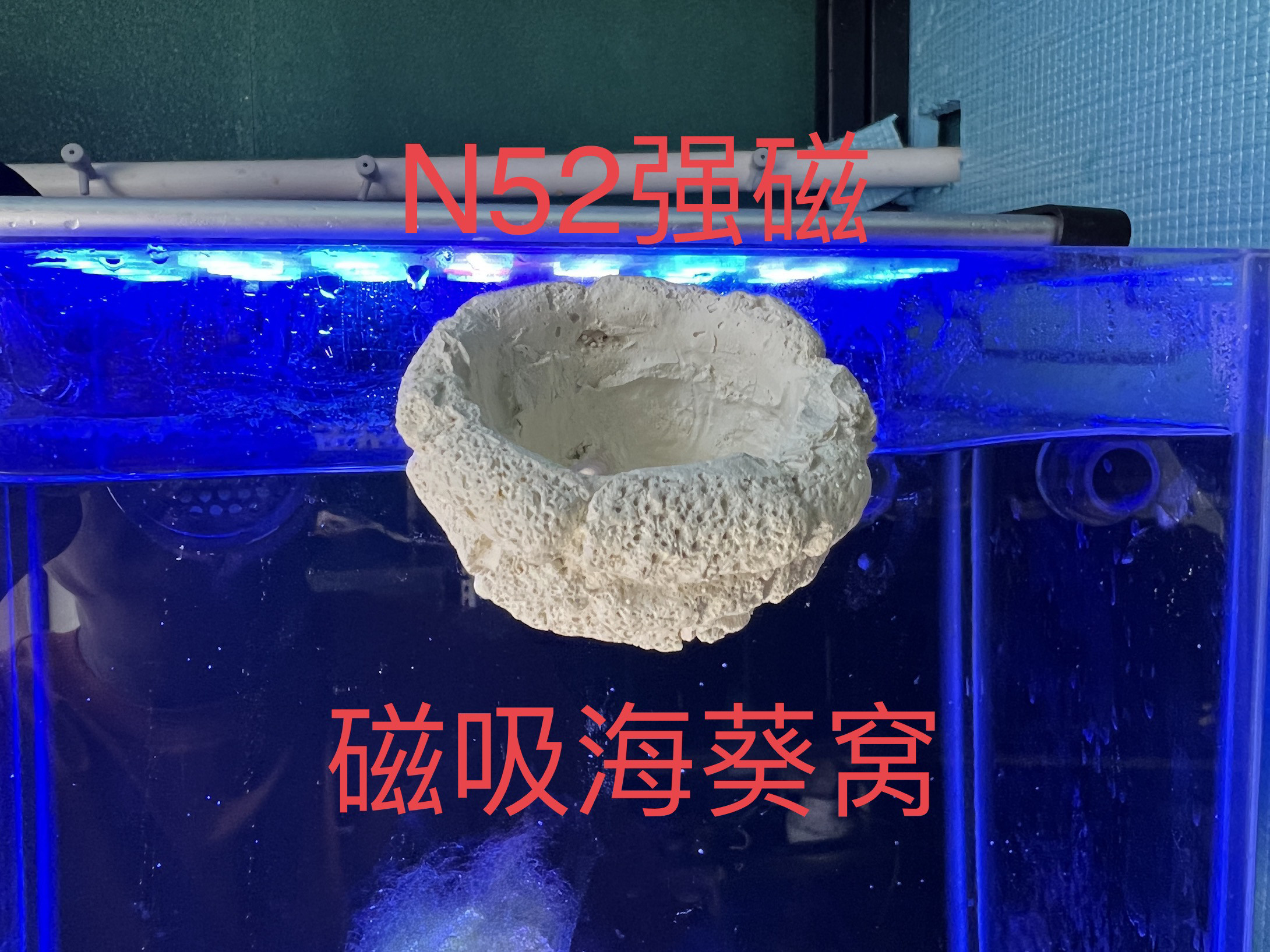 磁吸海葵窝造景爪哇碎石混造景泥手工磁悬浮奶嘴n52强磁鱼缸玻璃图片