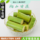 绿皮陶山甘蔗果肉去节孕妇水果新鲜现砍应季 果蔗青皮脆甜温州特产