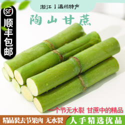 顺丰温州陶山甘蔗手撕青皮果蔗孕妇当季新鲜水果精品中段一个节
