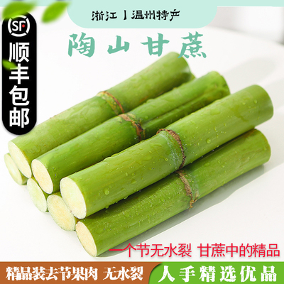 顺丰温州陶山甘蔗手撕青皮果蔗孕妇当季新鲜水果精品中段一个节