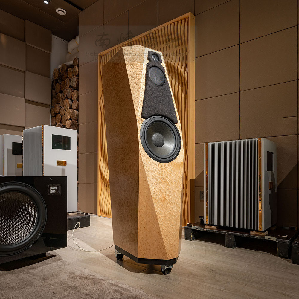 美国 Avalon 盟主 PM4 落地音箱喇叭发烧音箱hifi音响
