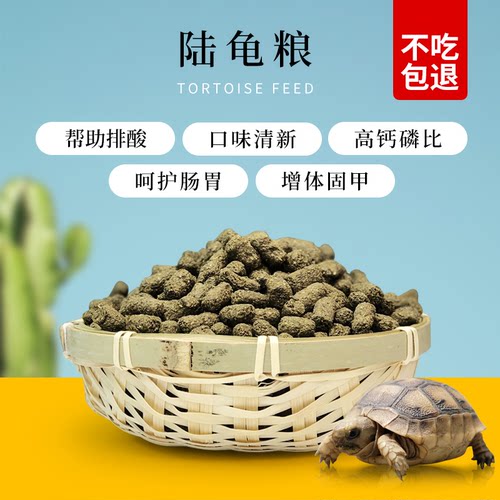 牧草粉纤维豹纹辐射缅甸星龟饲料