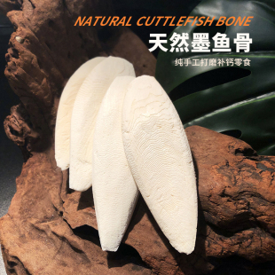 乌龟补钙精磨墨鱼骨陆龟水龟爬虫鹦鹉松鼠小宠物啃咬磨牙龟友天下