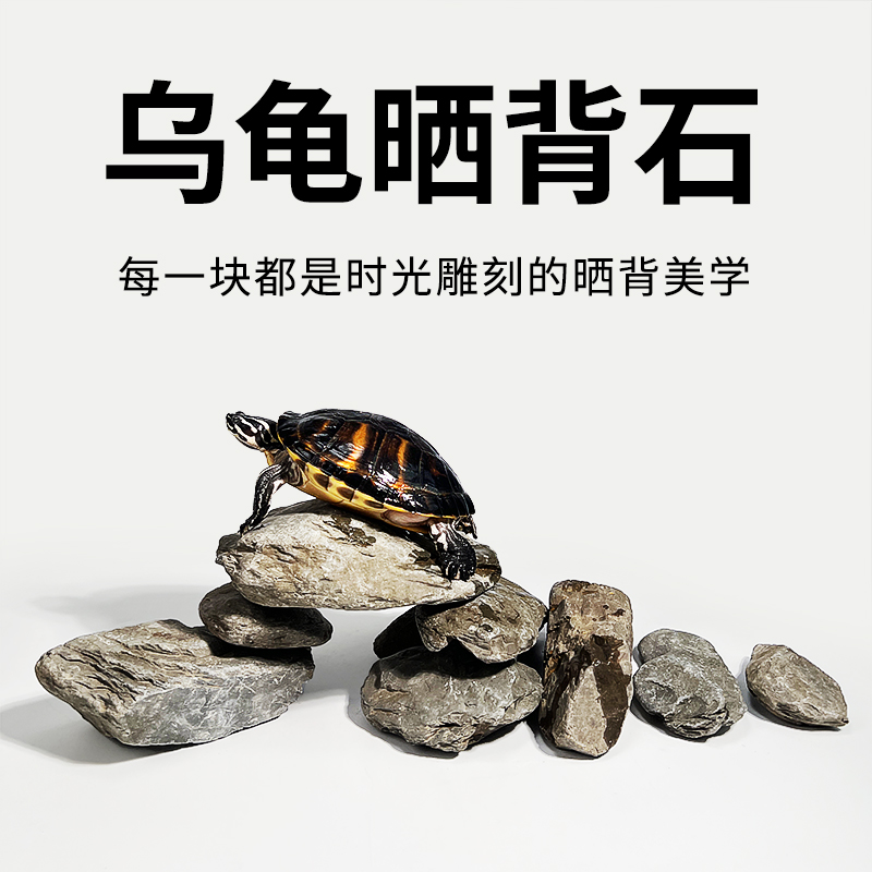 乌龟晒台生态造景天然溪流石头