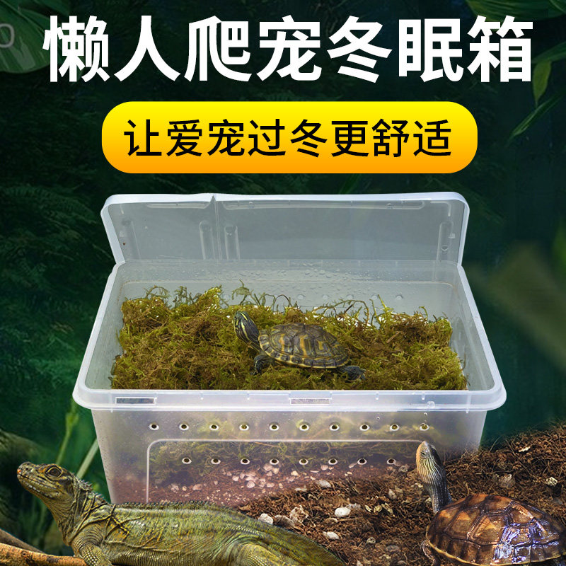 乌龟冬眠用品巴西龟草龟爬宠过冬椰土苔藓沙土角蛙垫材饲养盒土窝,宠物/宠物食品及用品,爬宠缸/箱,淘宝优惠券,粉丝福利购,淘宝优惠卷