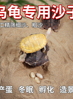 天然乌龟沙子产蛋冬眠陆龟水龟宠物黄泥沙营养沙种龟生蛋免洗细沙