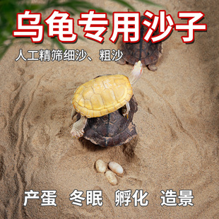 天然乌龟沙子产蛋冬眠陆龟水龟宠物黄泥沙营养沙种龟生蛋免洗细沙