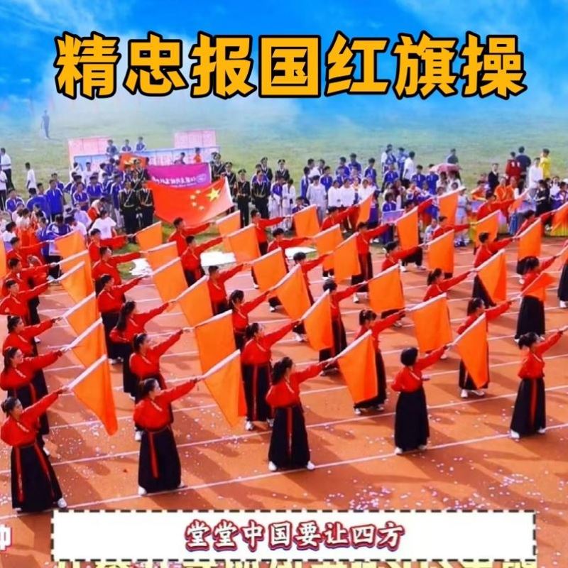 精忠报国儿童演出服中小学生运动会创意入场红旗舞校运会开幕表演