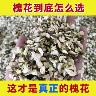 槐花中药材新鲜干花干槐花食用的功效与作用生槐花国槐花洋槐花干