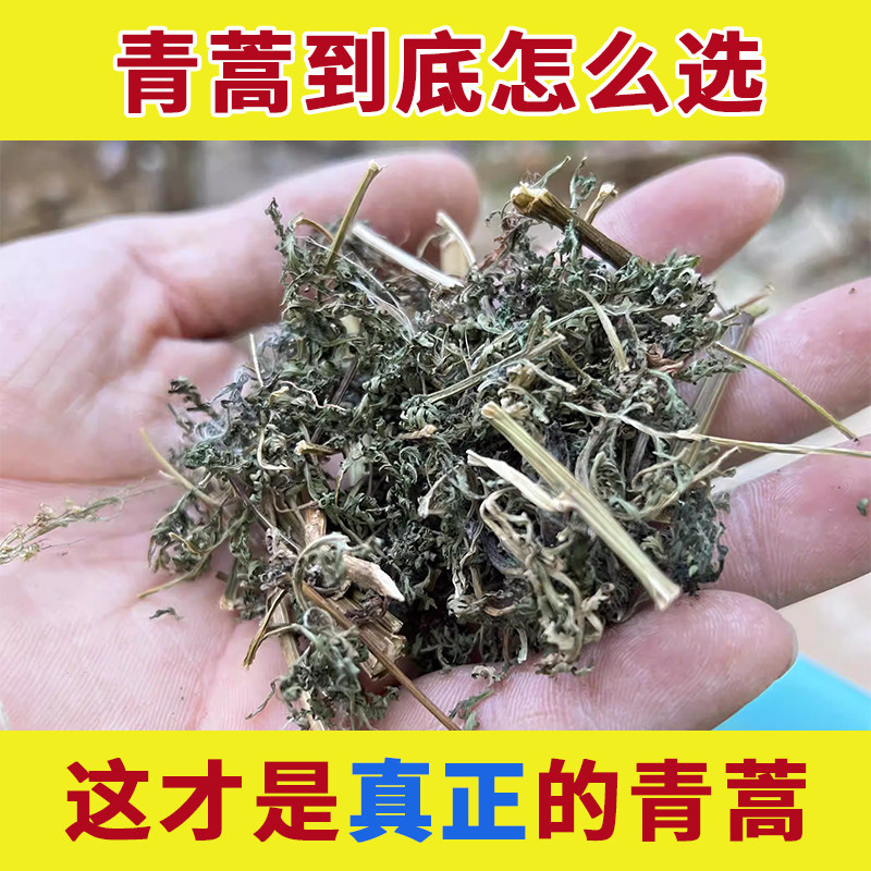 野生青蒿中药材新鲜干货青蒿草洗头去屑泡澡止痒桐臭蒿子苦蒿黑蒿