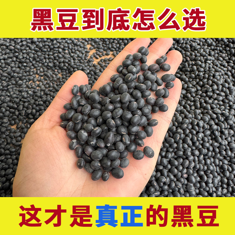 药用绿心黑豆中药材新货生的打豆浆专用绿芯优质东北生黑豆老品种