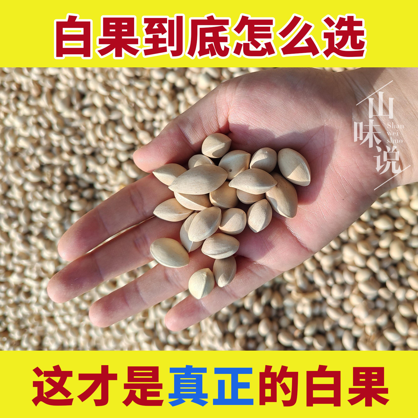 2024年新白果银杏果干果新鲜大果干货中药材银杏树的功效煲汤香料