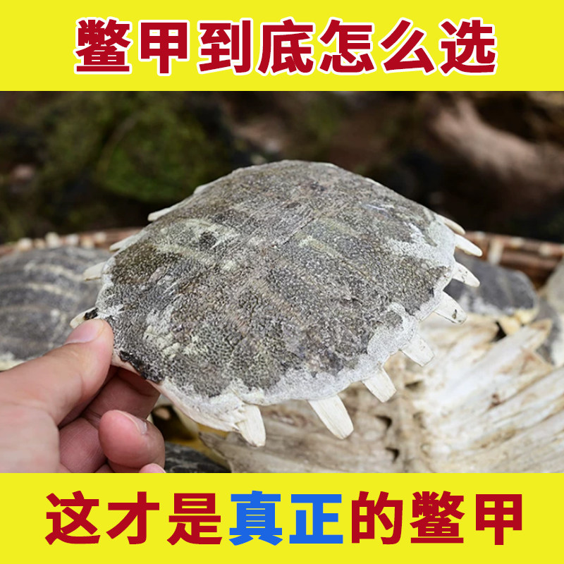 鳖甲中药材正品生鳖甲壳鳖甲粉醋制鳖甲灸王八壳鳖盖子甲鱼壳上甲