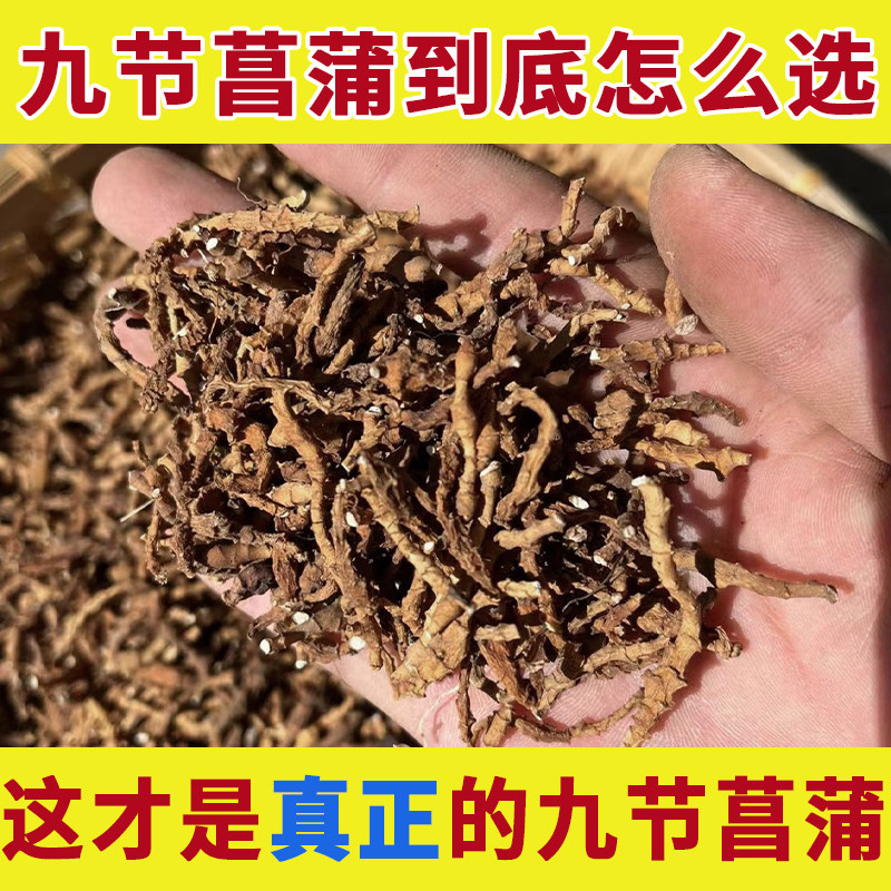 秦岭野生九节菖蒲中药材正品小菖蒲山菖蒲粉九节蒲菖九节昌浦昌莆