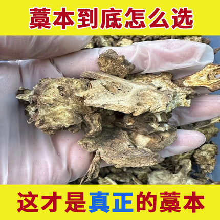 秦岭野生藁本中药材正品香藁本粉蒿本高本篙本稿本搞本中草药店铺