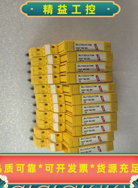 BLITZDUCTOR保护器BSPM2BE2492--议价商品