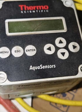 Thermo赛默飞 DataStick低水平浊度仪,AV38 --议价商品