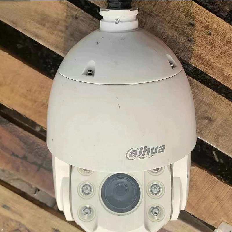 大华球机DH-SD6423-D2-I,6寸,400万像素,2--议价商品