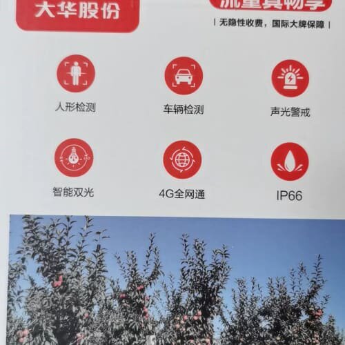 【终身免流】大华2寸400万定焦双光警戒4G球机 DH-SD--议价商品