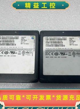 netappPM1643960G固态硬盘健康93%--议价商品