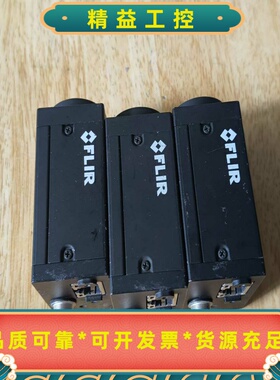 FLIR灰点工业相机GS3-PGE-91S6M-C--议价商品