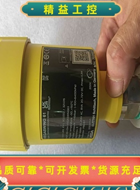 德国VEGA威格VEGASWING61，型号SWING61--议价商品