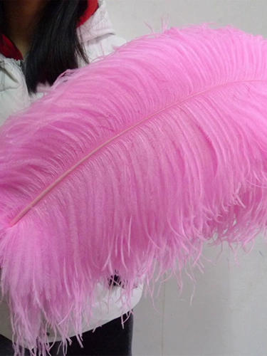 От 50 до 55 см. Крупные стержневые перья Свадебного Свадебного события Стол Стол Цветочный Комнат Интерьер декоративные ювелирные аксессуары