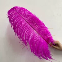 Роза красная