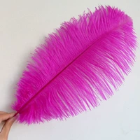 Роза красная