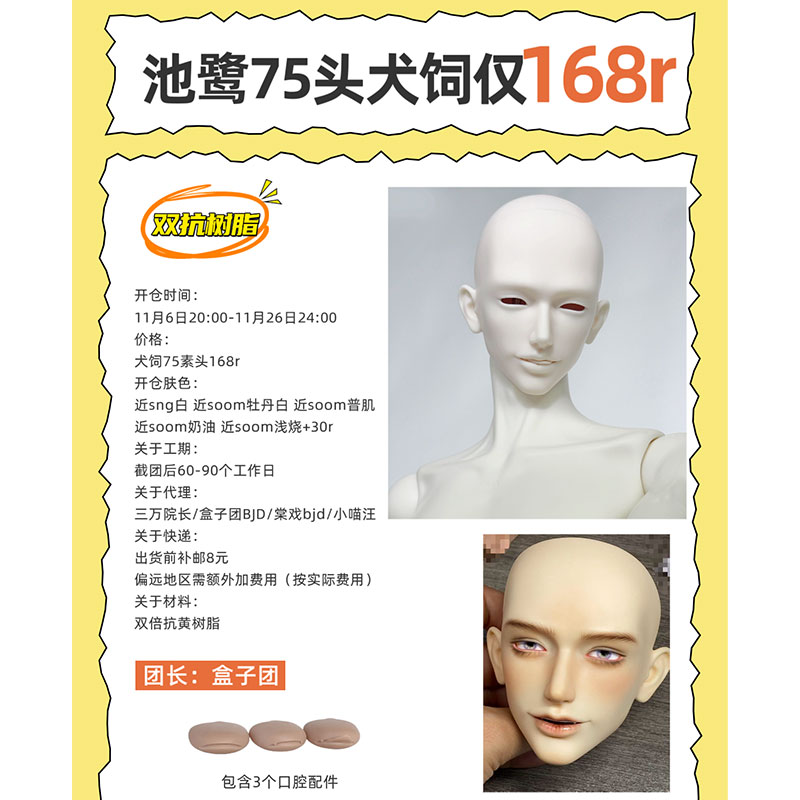 盒子团犬饲单头75叔素头迟鹭3分bjd小喵汪1/3